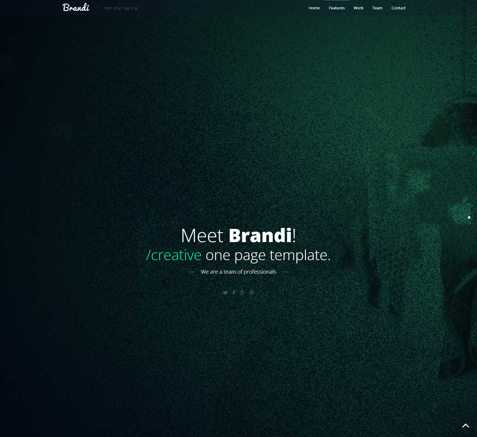 Themefisher.Free Bootstrap3 based HTML5 Templates
